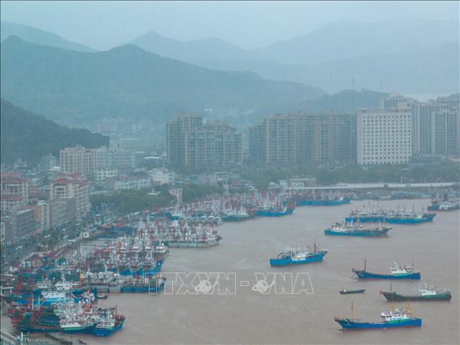 Tàu thuyền neo đậu tại cảng ở Ninh Ba, tỉnh Chiết Giang, Trung Quốc ngày 29.7.2025, trước khi bão Co-may đổ bộ. Ảnh: THX/TTXVN
