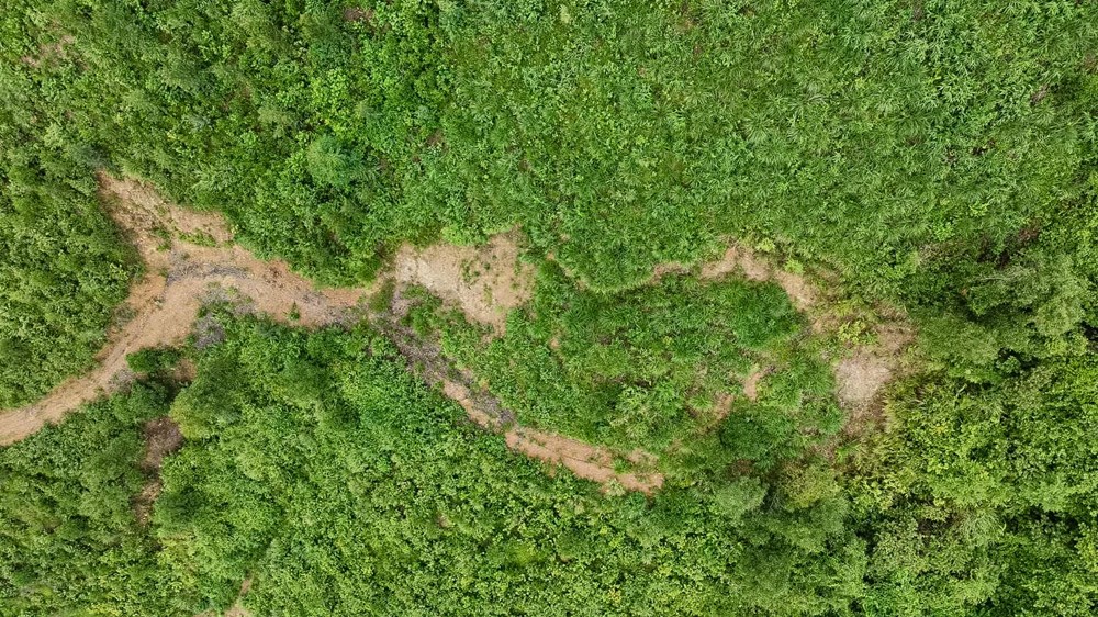 Quảng Trị chỉ đạo khẩn trước nguy cơ sạt lở núi - ảnh 3