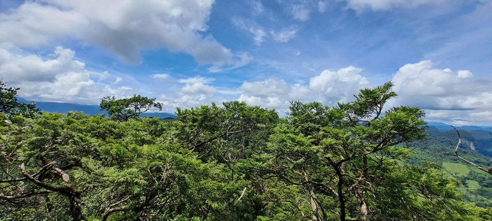 Quảng Trị: Nâng tầm nguồn nhân lực, mở rộng cơ hội phát triển du lịch tỉnh - ảnh 1