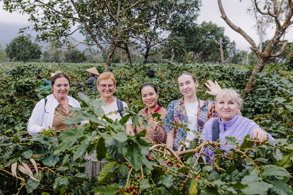 Nâng tầm thương hiệu cà phê Khe Sanh qua du lịch - ảnh 1