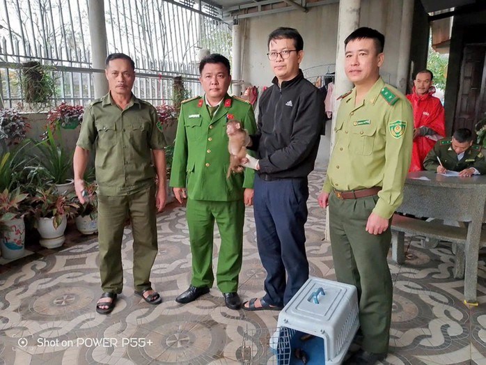 Quảng Trị: Cứu hộ hai cá thể khỉ lạc vào khu dân cư - ảnh 1