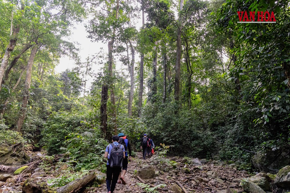 Mùa xuân mới ở bản Đoòng - ảnh 2
