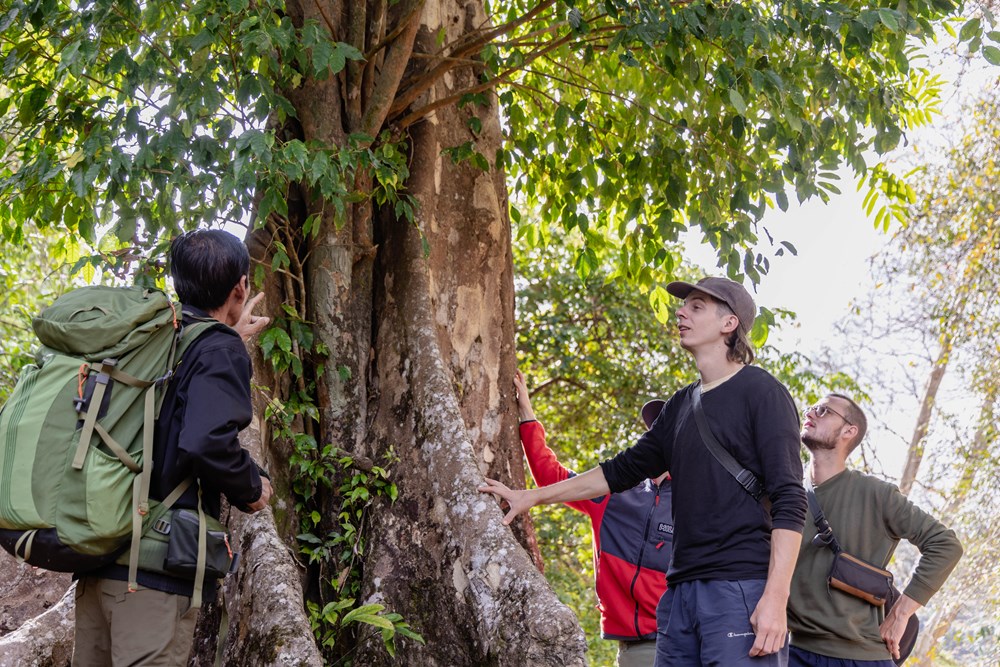 Từ niềm vui người dân đến khát vọng phát triển từ di sản - ảnh 3