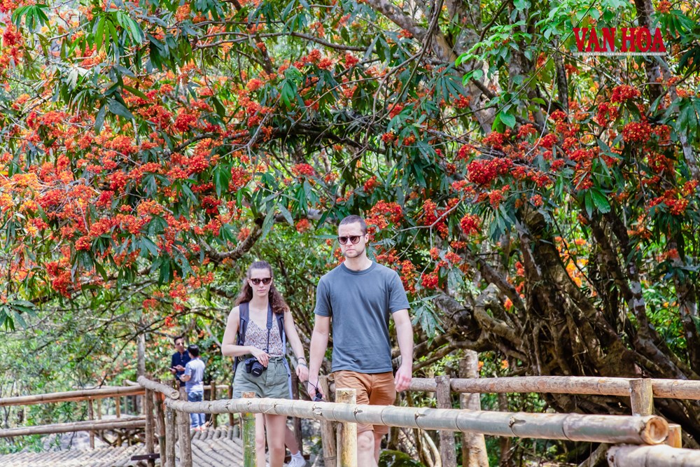 Định vị điểm đến là “đòn bẩy” cho du lịch bứt tốc - ảnh 2