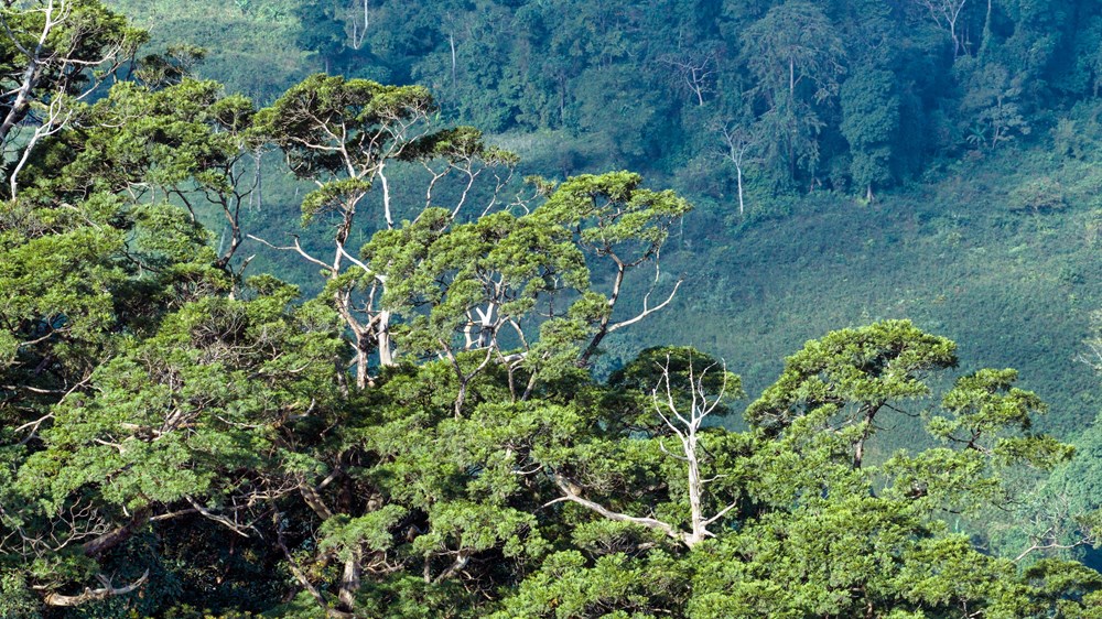 Quảng Trị: Phát triển bền vững bắt đầu từ cộng đồng - ảnh 3