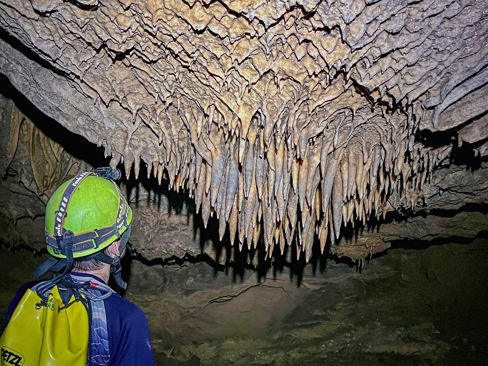 Quảng Trị: Phát hiện nhiều hang động mới - ảnh 3