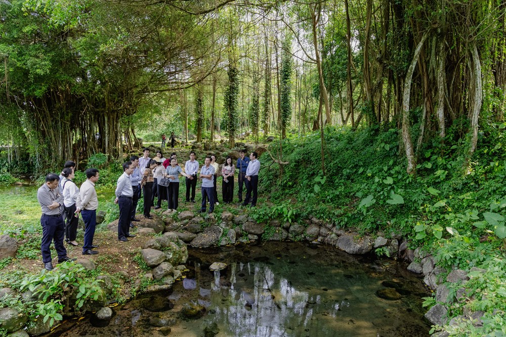 Quảng Trị đề nghị UNESCO hỗ trợ hồ sơ ghi danh giếng cổ Gio An, địa đạo Vịnh Mốc và làng hầm Vĩnh Linh - ảnh 3
