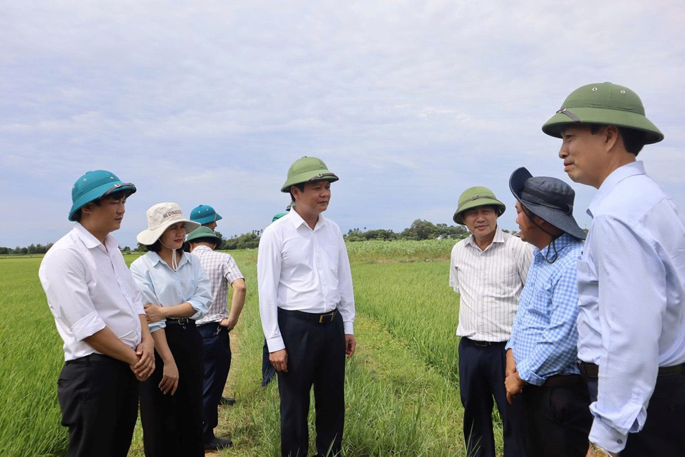 Quảng Trị: Khơi thông nguồn lực, tạo sinh kế bền vững cho người dân - ảnh 1