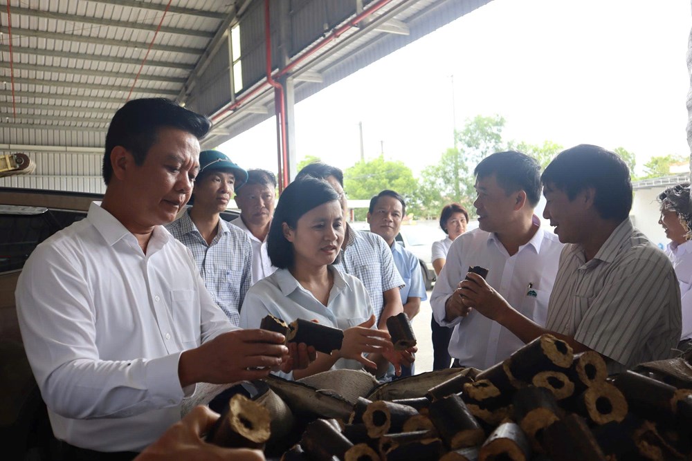 Quảng Trị: Khơi thông nguồn lực, tạo sinh kế bền vững cho người dân - ảnh 2