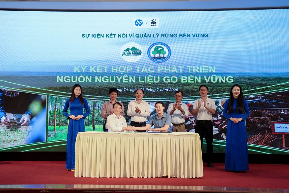 Trồng rừng bền vững để nâng giá trị cho những cánh rừng - ảnh 2