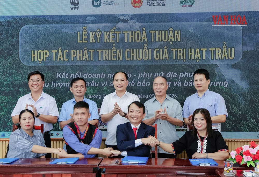 Quảng Trị: Khi giữ rừng trở thành một sinh kế - ảnh 1