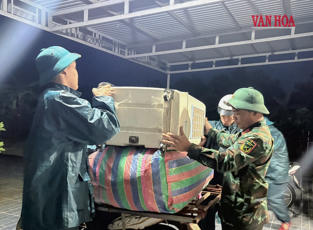 Bám bản giữa mưa lũ miền biên viễn - ảnh 2