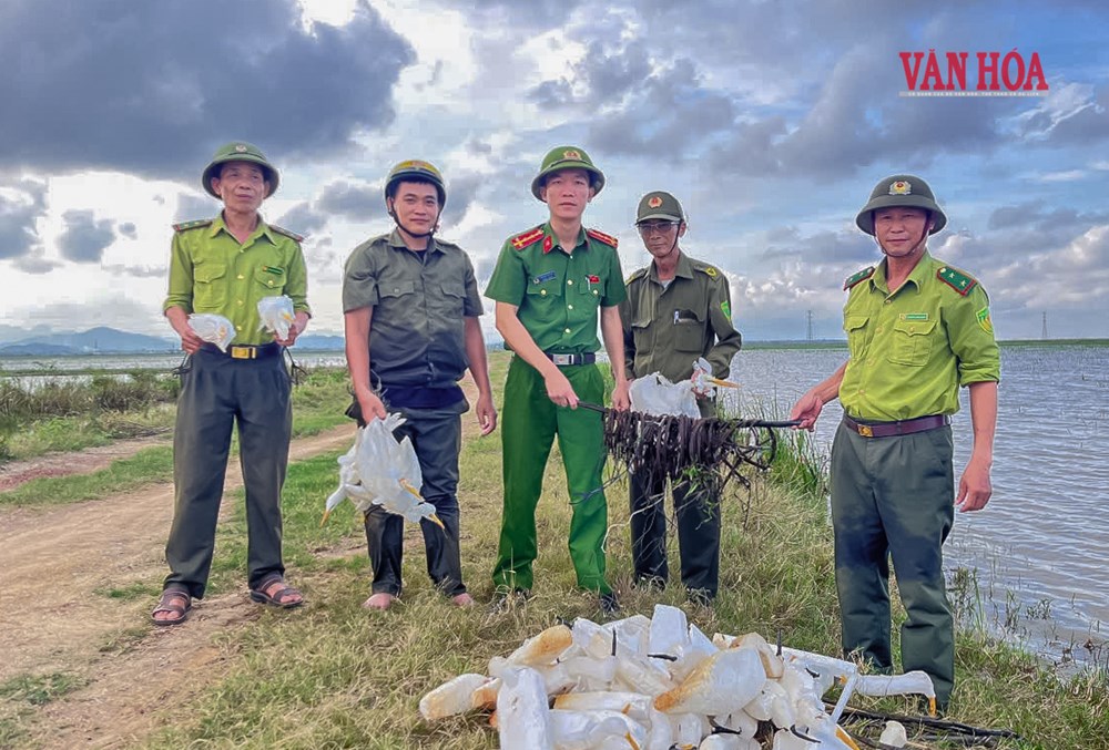 Ngăn bẫy bắt chim, kiểm soát nguồn tiêu thụ - ảnh 1
