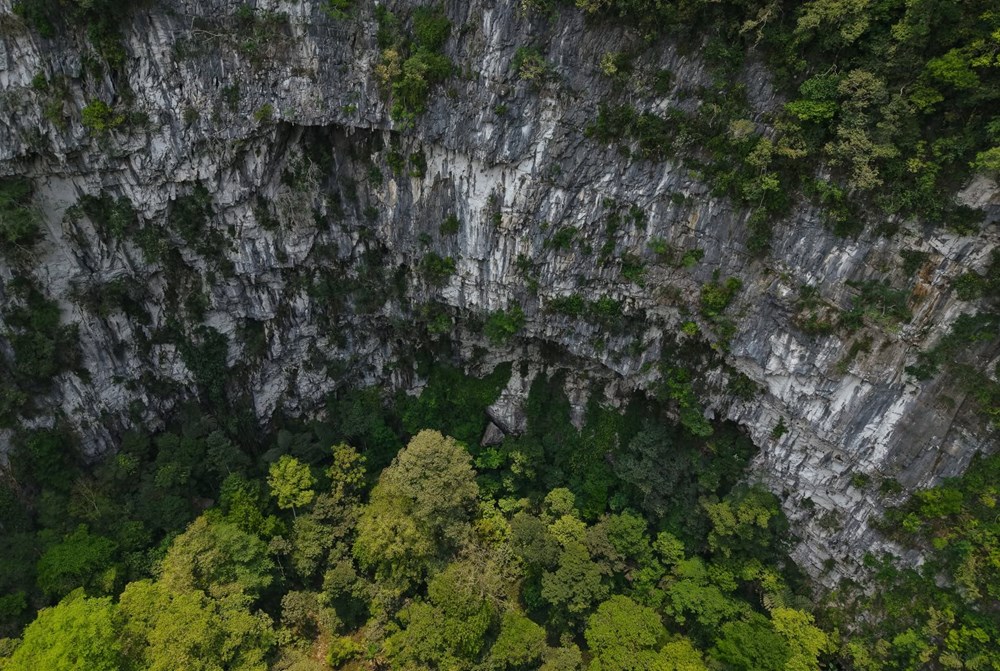 Phát hiện hố sụt sâu 120m, có rừng nguyên sinh ở Phong Nha - Kẻ Bàng - ảnh 2