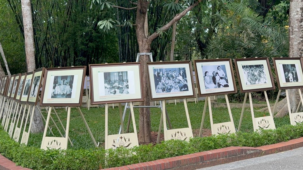 Nhiều hoạt động kỷ niệm 115 năm ngày Bác Hồ ra đi tìm đường cứu nước - ảnh 4