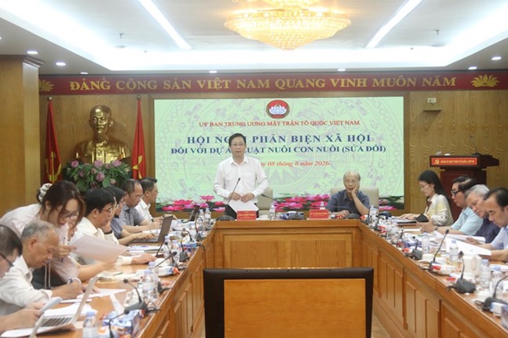 Hoàn thiện pháp luật về nuôi con nuôi vì lợi ích tốt nhất của trẻ em - ảnh 1
