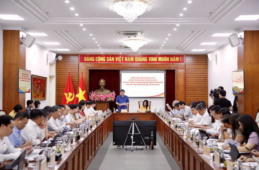 Tiếp tục rà soát, hoàn thiện chính sách, pháp luật trong lĩnh vực văn hóa, thông tin, thể thao và du lịch - ảnh 1