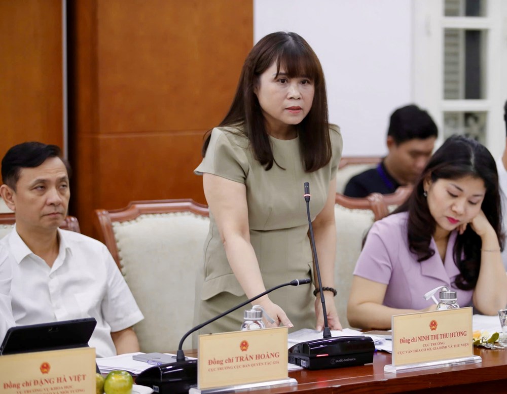 Tiếp tục rà soát, hoàn thiện chính sách, pháp luật trong lĩnh vực văn hóa, thông tin, thể thao và du lịch - ảnh 6