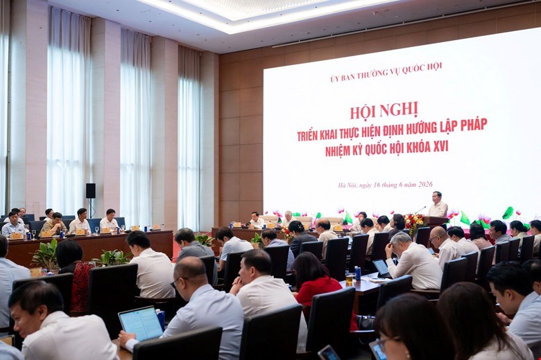 Kiến tạo thể chế phát triển và xây dựng hệ thống pháp luật đồng bộ, hiện đại, tiệm cận các chuẩn mực quốc tế - ảnh 3