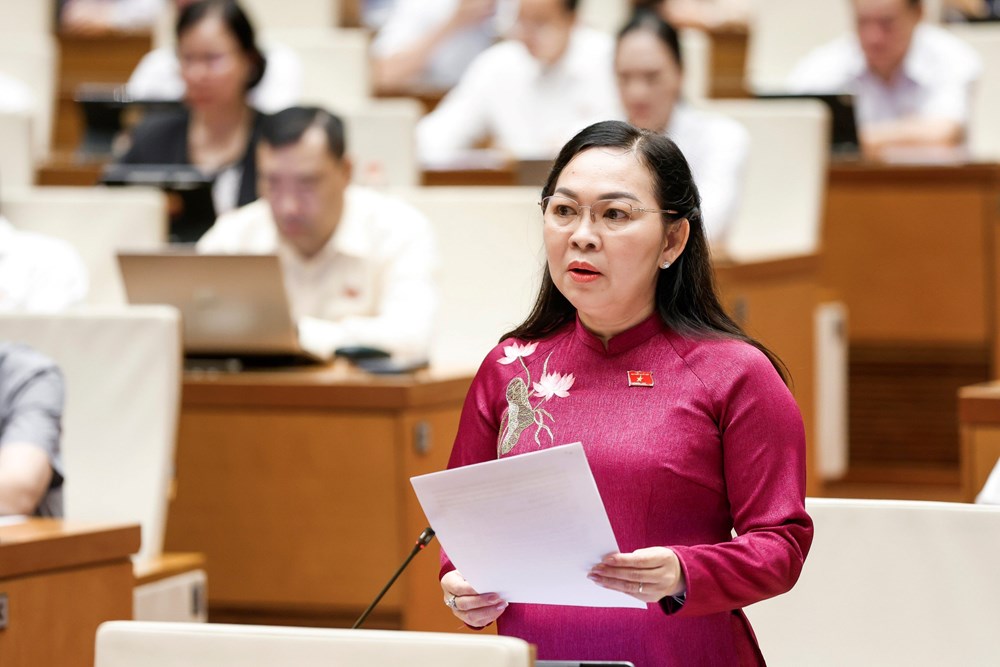 Hoàn thiện dự án Luật về vũ khí hủy diệt hàng loạt, bảo đảm chặt chẽ, khả thi - ảnh 3