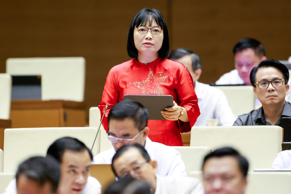 Hoàn thiện dự án Luật về vũ khí hủy diệt hàng loạt, bảo đảm chặt chẽ, khả thi - ảnh 6