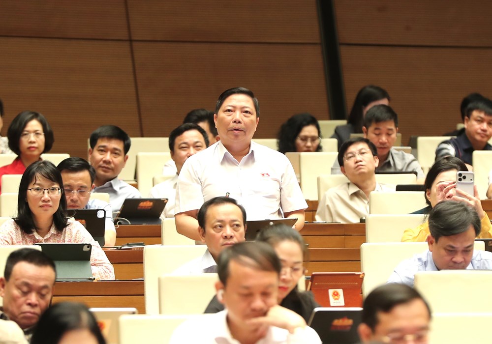 Đại biểu Quốc hội đề nghị xác định rõ “biên giới” của Luật Xuất bản trên không gian mạng - ảnh 2
