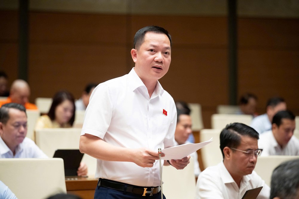 Đại biểu Quốc hội đề nghị quảng cáo bất động sản phải trung thực, đúng thực tế - ảnh 3