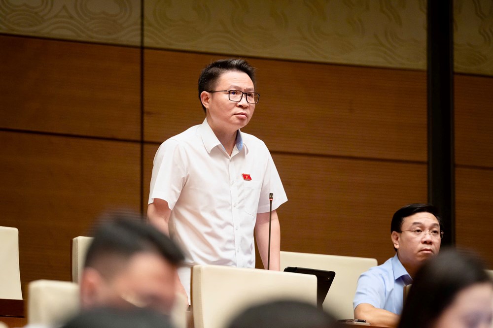 Đại biểu Quốc hội đề nghị quảng cáo bất động sản phải trung thực, đúng thực tế - ảnh 2