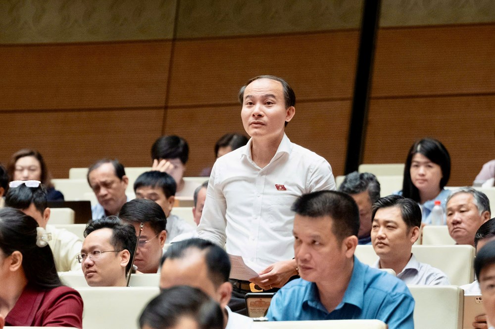 Đại biểu Quốc hội: Một quyết định sai về lấn biển có thể phải trả giá bằng cả một di sản - ảnh 2