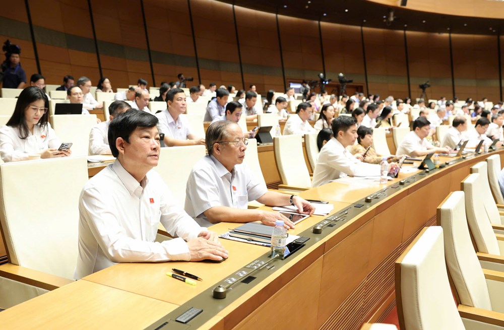 Quốc hội thông qua Luật sửa đổi, bổ sung một số điều của Luật Hải quan - ảnh 2