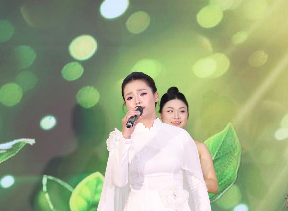 Thúc đẩy môi trường lưu trú không thuốc lá, bảo vệ sức khỏe cộng đồng - ảnh 5