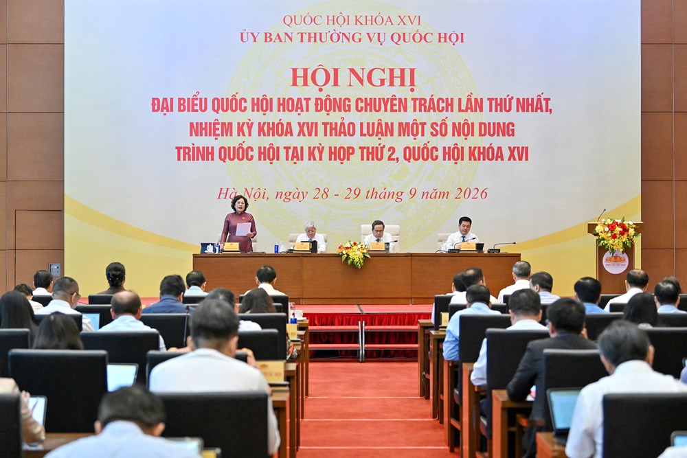 Không miễn trừ trách nhiệm với hành vi cố ý vi phạm, lừa đảo, trục lợi trong chứng khoán - ảnh 1