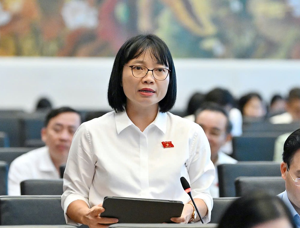 ĐBQH: Mọi thay đổi trong cơ chế giá điện cần được xem xét hết sức thận trọng - ảnh 2