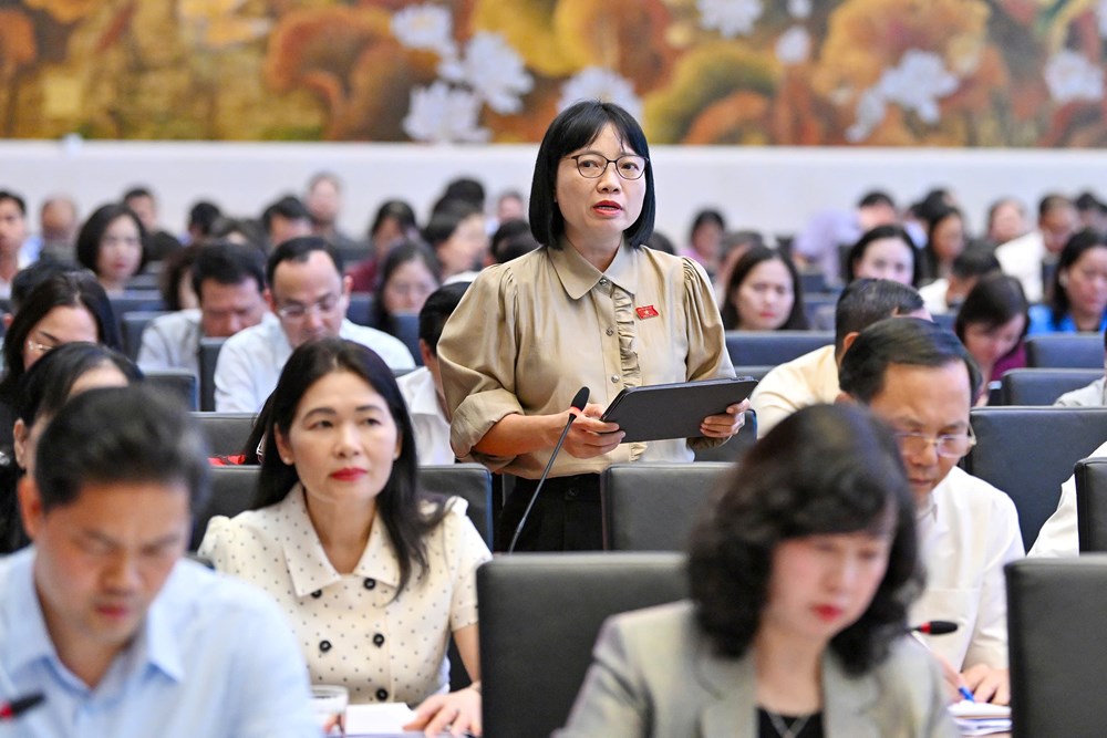 ĐBQH: Không chuyển phần khó từ cơ quan nhà nước sang người tham gia bảo hiểm xã hội - ảnh 4