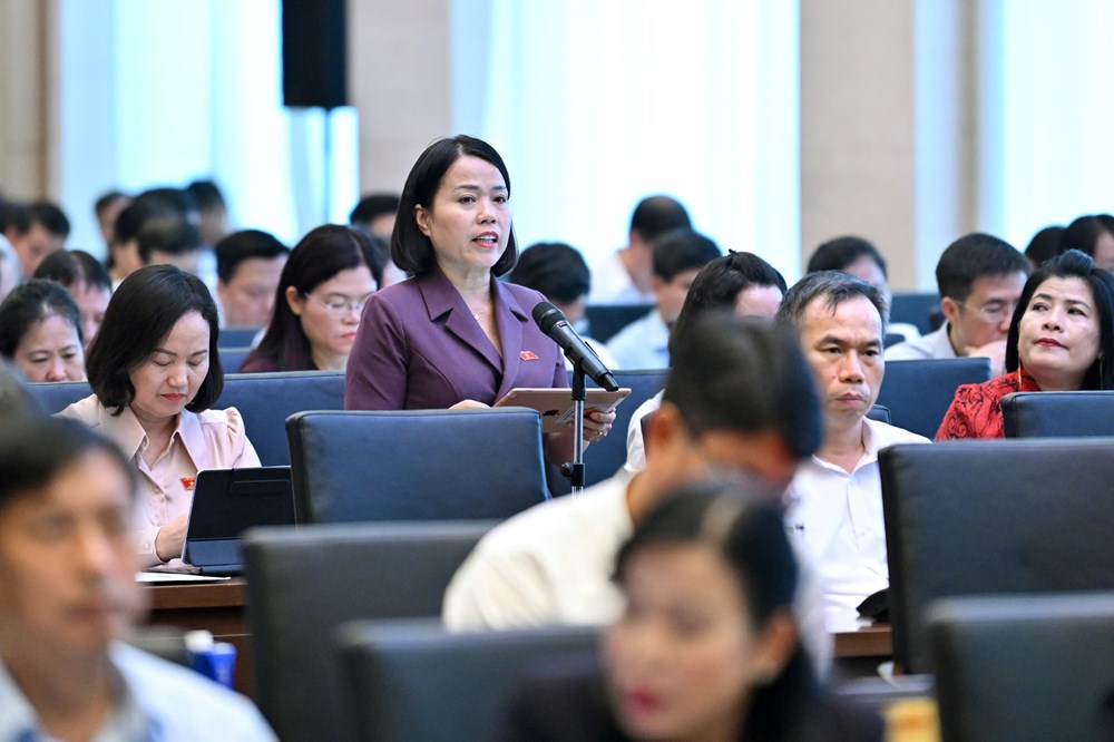 ĐBQH: Không chuyển phần khó từ cơ quan nhà nước sang người tham gia bảo hiểm xã hội - ảnh 2