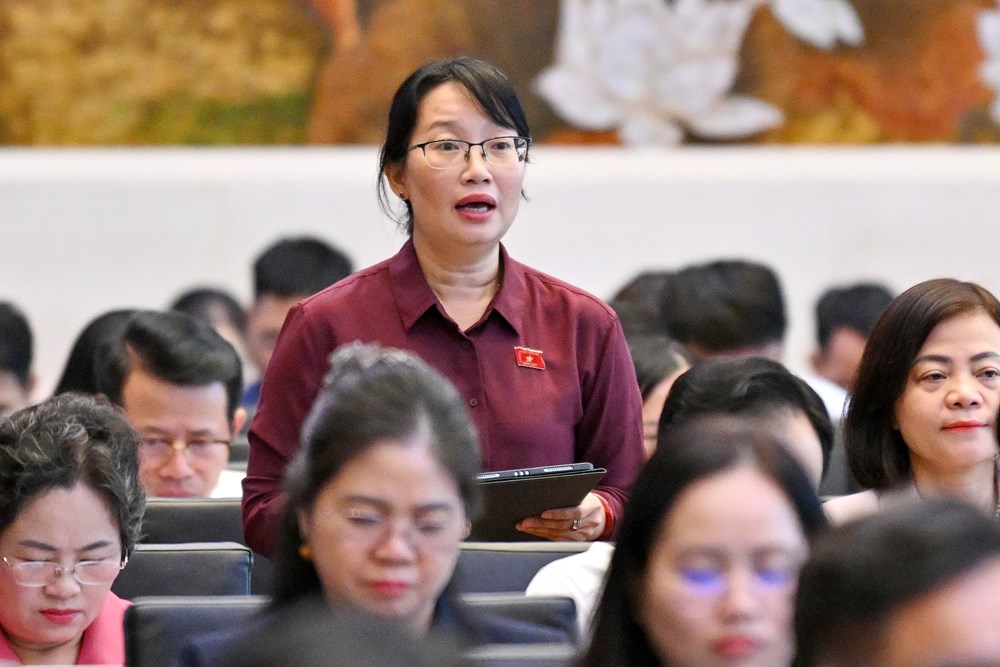 ĐBQH: Không chuyển phần khó từ cơ quan nhà nước sang người tham gia bảo hiểm xã hội - ảnh 3