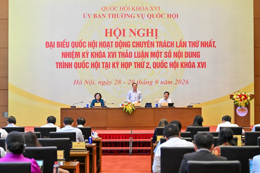 Sửa Luật Xử lý vi phạm hành chính: Làm rõ mức trần và mức phạt cụ thể - ảnh 1