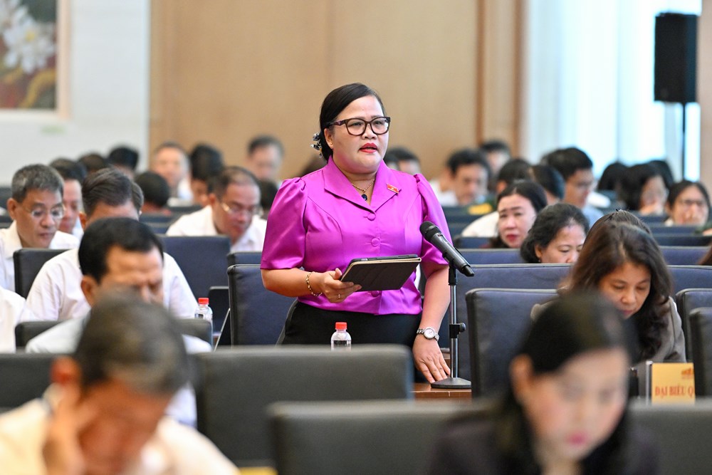 Sửa Luật Xử lý vi phạm hành chính: Làm rõ mức trần và mức phạt cụ thể - ảnh 3
