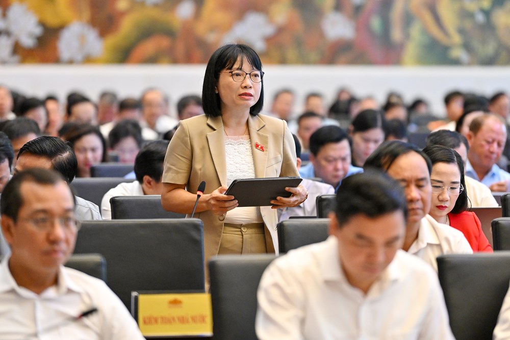 Sửa Luật Xử lý vi phạm hành chính: Làm rõ mức trần và mức phạt cụ thể - ảnh 4