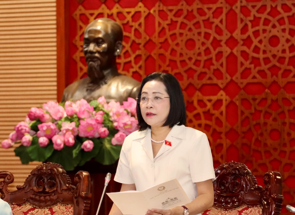 Nâng cao chất lượng thẩm tra, bảo đảm chính sách đi vào cuộc sống - ảnh 2