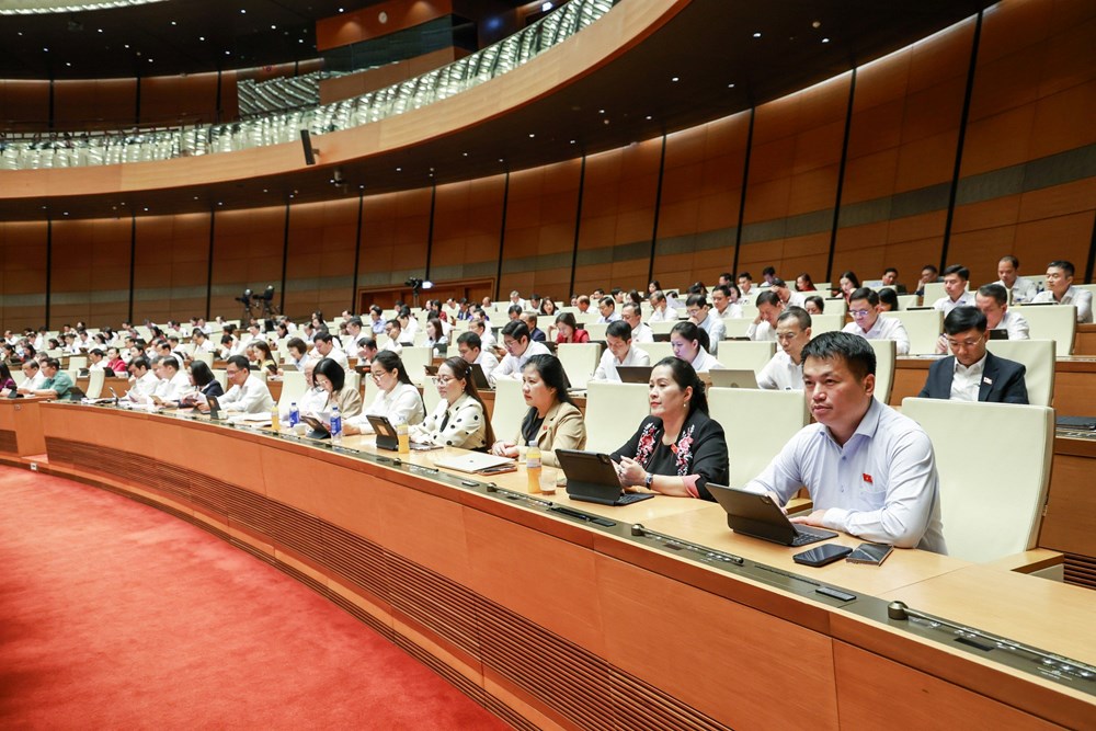 Quốc hội nghe Báo cáo tiếp thu, giải trình và chỉnh lý dự thảo Bộ luật Hình sự (sửa đổi) - ảnh 2