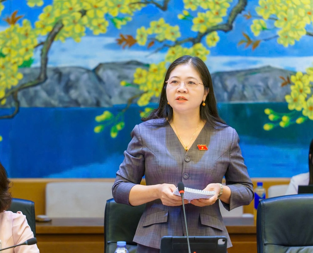 Đại biểu Quốc hội đề nghị tháo gỡ điểm nghẽn trong đầu tư thiết chế văn hóa cơ sở - ảnh 2