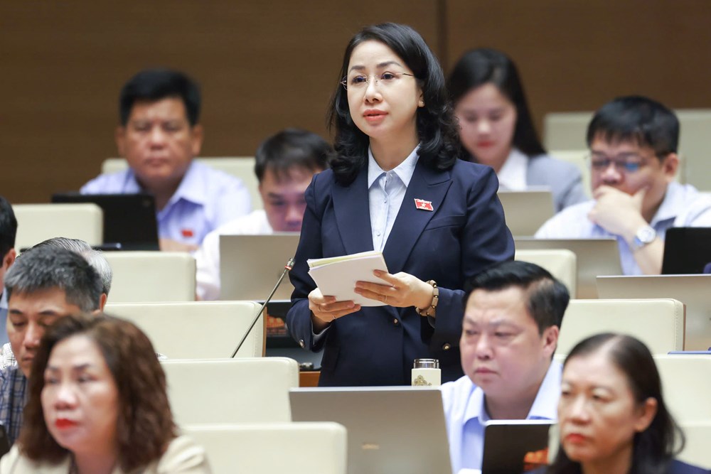 Quốc hội thảo luận về dự thảo Bộ luật Hình sự (sửa đổi) - ảnh 2