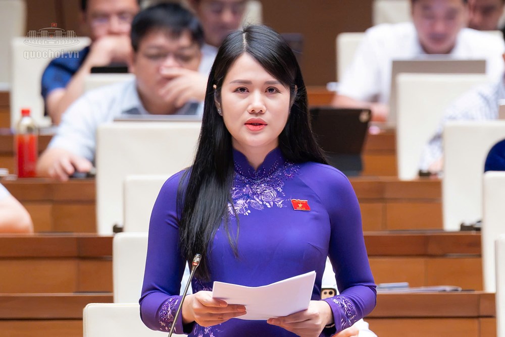 Gỡ điểm nghẽn chính sách, tiếp sức doanh nghiệp miền núi, biên giới, hải đảo - ảnh 5