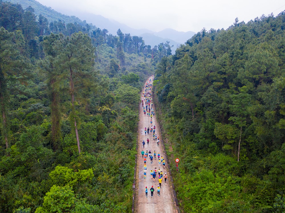 500 người tham gia giải chạy để kêu gọi bảo tồn động, thực vật hoang dã - Anh 3