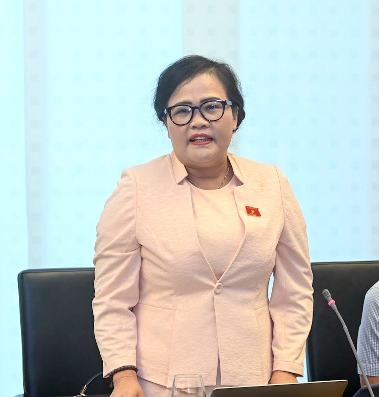 Đại biểu Quốc hội: Cần chú trọng đầu tư phát triển văn hóa - Anh 2
