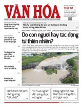 Báo Văn Hoá 10/6/2026