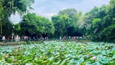 Dòng người từ khắp mọi miền về quê Bác dịp Lễ hội Làng Sen 2026