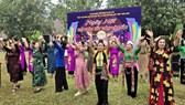 Tổ chức Ngày Văn hóa Việt Nam: Tạo điều kiện để người dân tham gia, sáng tạo và thụ hưởng 