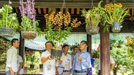 Hơn 1.000 tác phẩm cây kiểng, phong lan đặc sắc của ba miền hội tụ tại khu di sản Huế